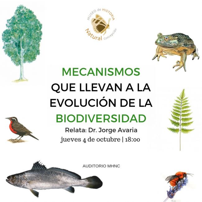 Charla: Mecanismos Que Llevan A La Evolución De La Biodiversidad. Museo ...